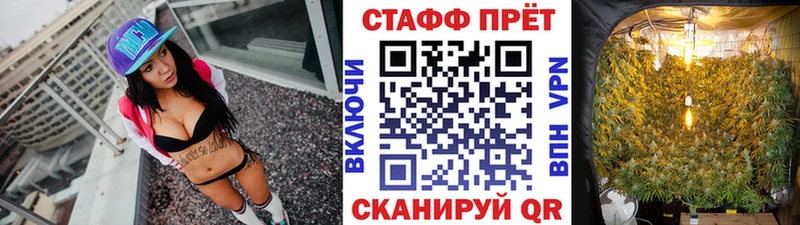 Купить закладку Конопля  A-PVP  Псилоцибиновые грибы  Экстази  ГАШ  Мефедрон  Заводоуковск