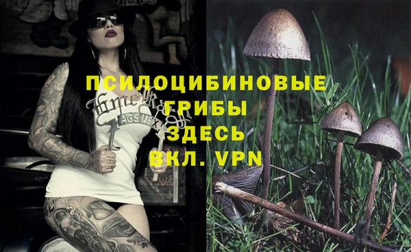 прущий лед Коряжма