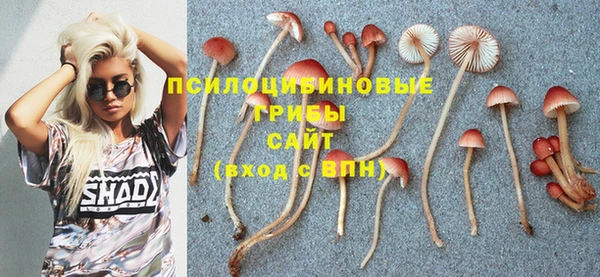 альфа пвп Костерёво