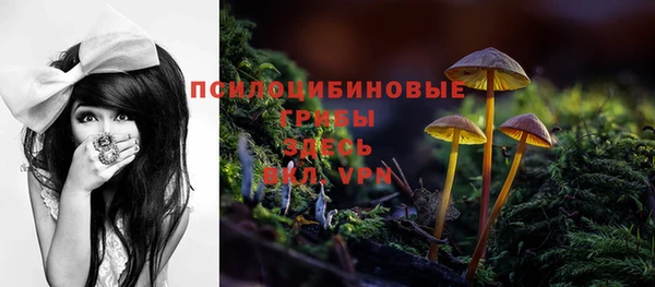 прущий лед Коряжма