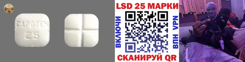 LSD-25 экстази кислота  Купить закладки  Заводоуковск 