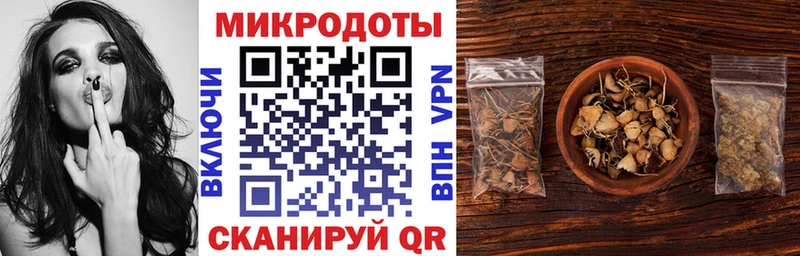 Купить закладки  Заводоуковск  Псилоцибиновые грибы Psilocybe 